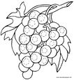 Lamina para colorear Dibujos de Frutas. uvas